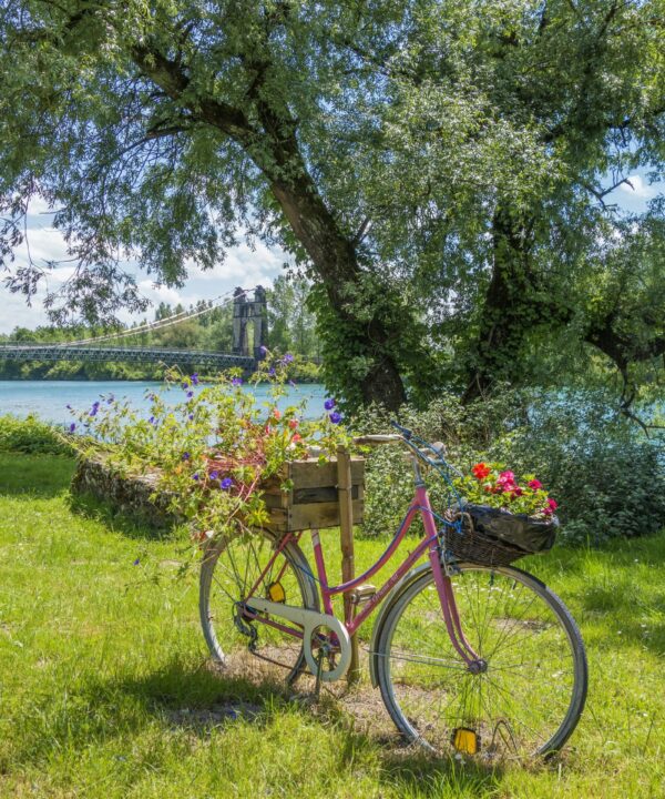 a bike with a basket of flowers on the back