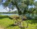 a bike with a basket of flowers on the back