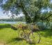 a bike with a basket of flowers on the back